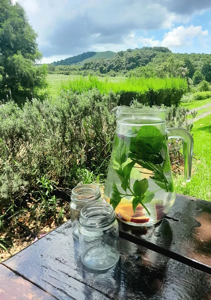 The Picklepot - outdoor image